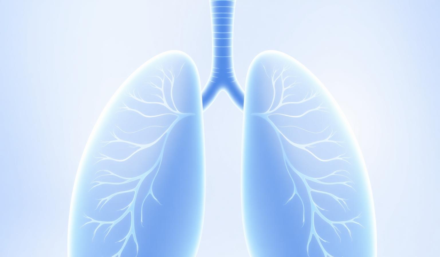 Calm illustration of healthy lungs in soft blue tones